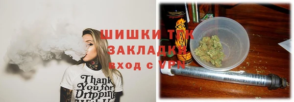 амф Бронницы