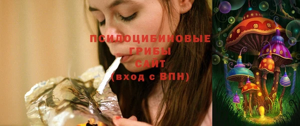 амф Бронницы