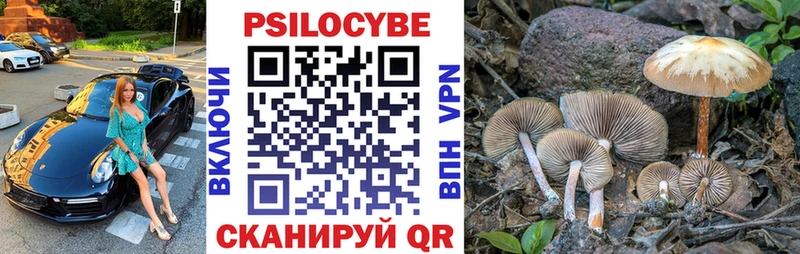 Галлюциногенные грибы мицелий  Волосово 